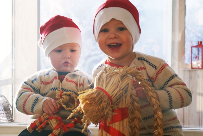 Freddy och Jack i Hörnefors önskar alla nära och kära en God Jul och ett Gott Nytt År, en speciell kram till kompisarna Freja och Rasmus samt kusinerna Sanna och Filip i Storuman.