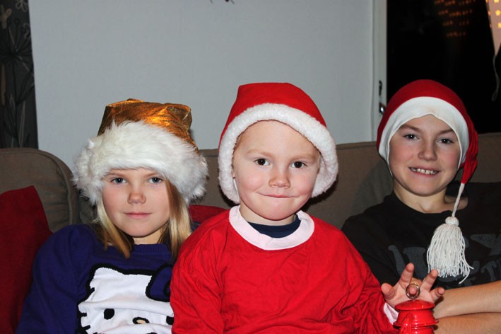 Alma, Alfons och Anton Bylundh i Ersmark önskar släkt och vänner en riktigt God jul och Gott nytt år!