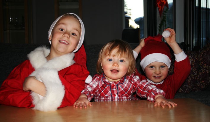 God Jul till släkt och vänner önskar Melker, Elsa och Ragnar Hultdin.