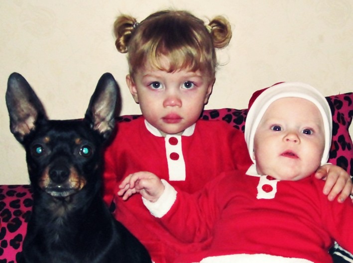 Ozzy, Juni & Kitty från Vilhelmina vill önska alla de känner God Jul & Gott Nytt År! Lussekramar från Högdahls.