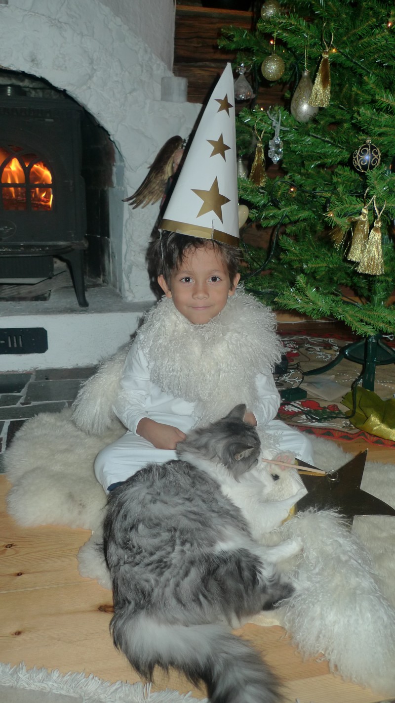 Lucas och katten Mirre har litejulmys framför granen .Han önskar en God jul till alla nära & kära 